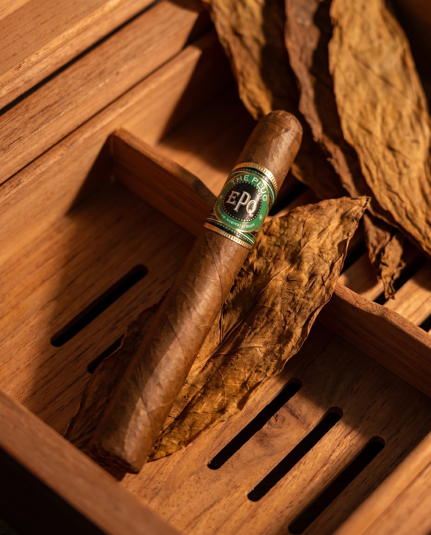 The Plug resting on cured tobacco leaves in a cedar humidor tray
